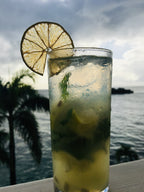 FreshDried - Cocktail Garnish - Lime