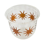 Compostable Cold Cups 8-Pack: 12 Ounce