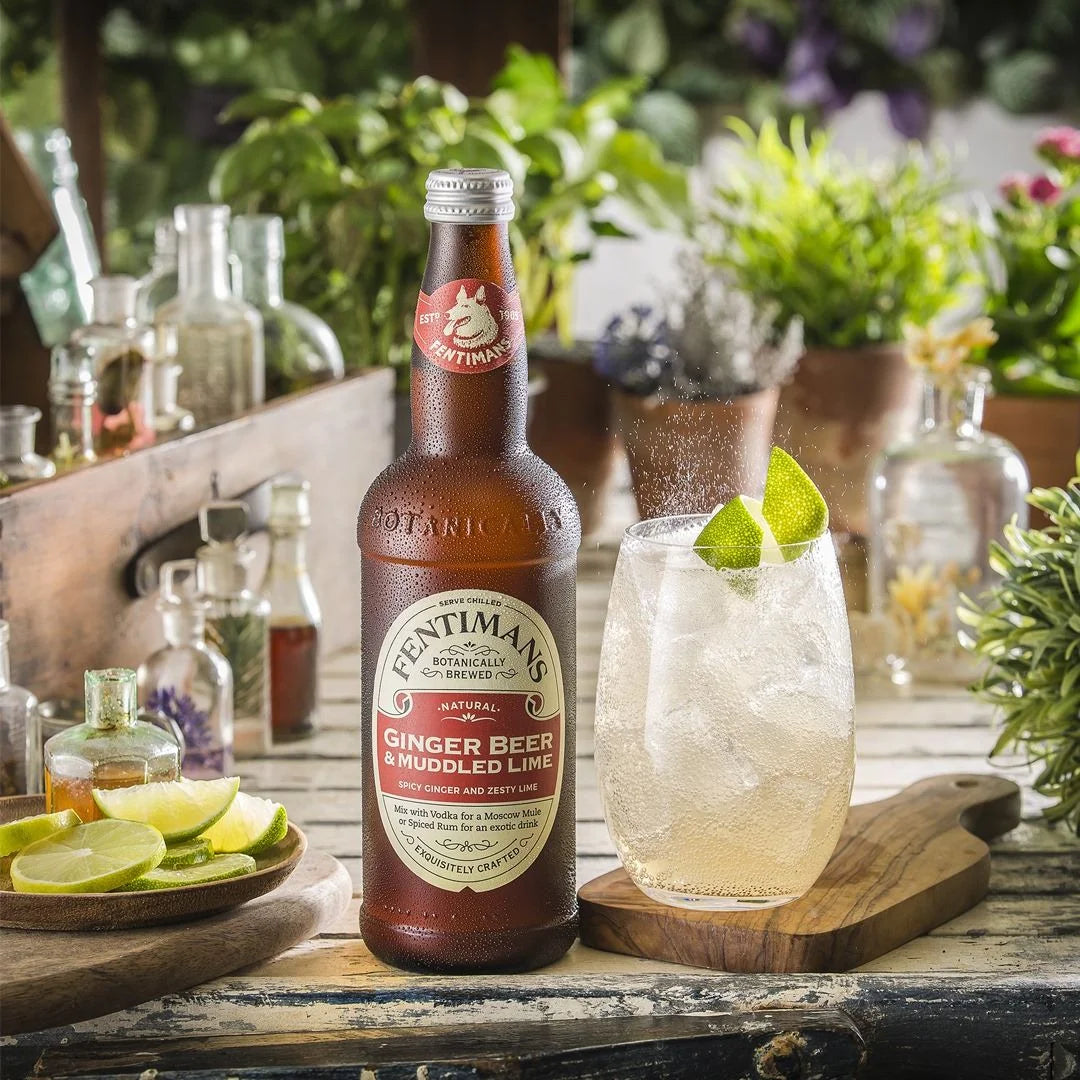 Fentimans Ginger Beer & Muddled Lime - 4 pack