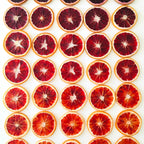 FreshDried Cocktail Garnish - Blood Orange