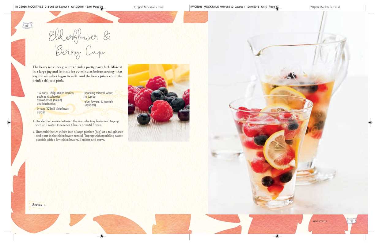 Simon & Schuster - Mocktails, Cordials, Syrups, Infusions and more by Ryland Peters & Small: Hardcover; 128 pages / English