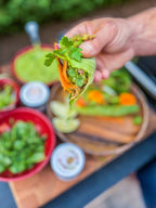 Spicy Habanero Sea Salt - Gustus Vitae