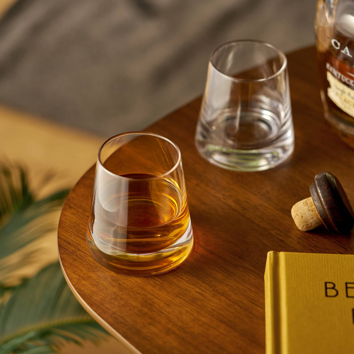 Raye™ Burke Crystal Whiskey Glass - 1 Glass