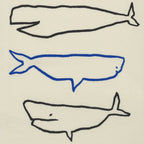 Whale Species Bar/Kitchen Towel - By Wink Designs