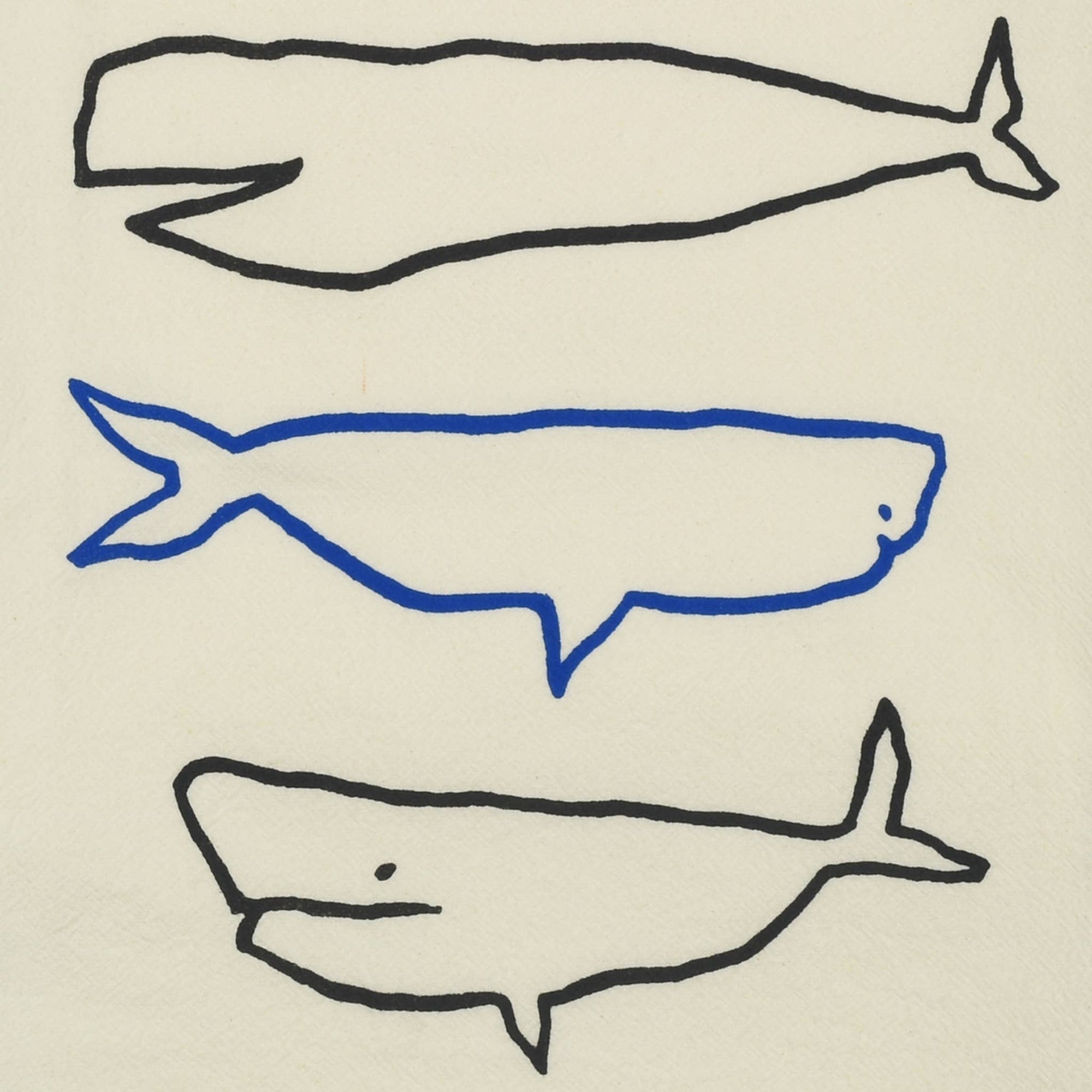 Whale Species Bar/Kitchen Towel - By Wink Designs