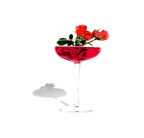 Curious Elixir No. 9 Booze-Free Cocktail - 340 mL / 11.5 oz / 2.3 Servings per Bottle