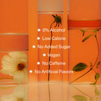 Aplós Variety Six Pack with Nootropics - 6 Pack of 8.5 fl oz Cans