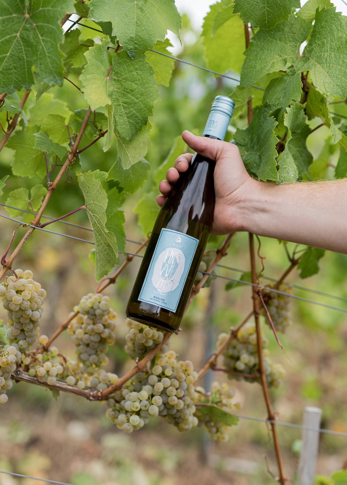 Leitz Eins Zwei Zero Non-Alcoholic Riesling