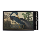 Archivist Gallery | Louisiana Heron | Giant Safety Matches