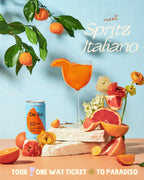 De Soi Spritz Italiano - 4 pack of 8 fl oz Single Serving Cans