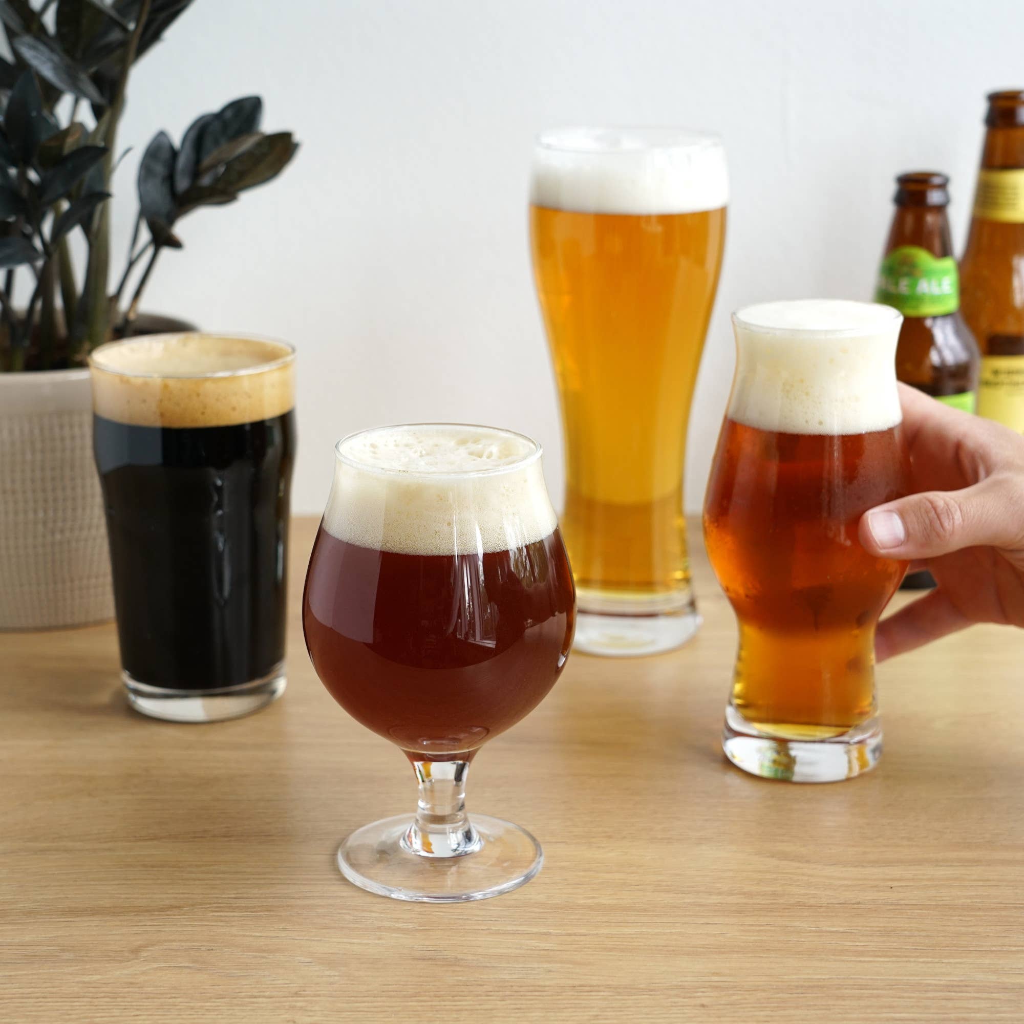 Craft Beer Tasting Set of 4