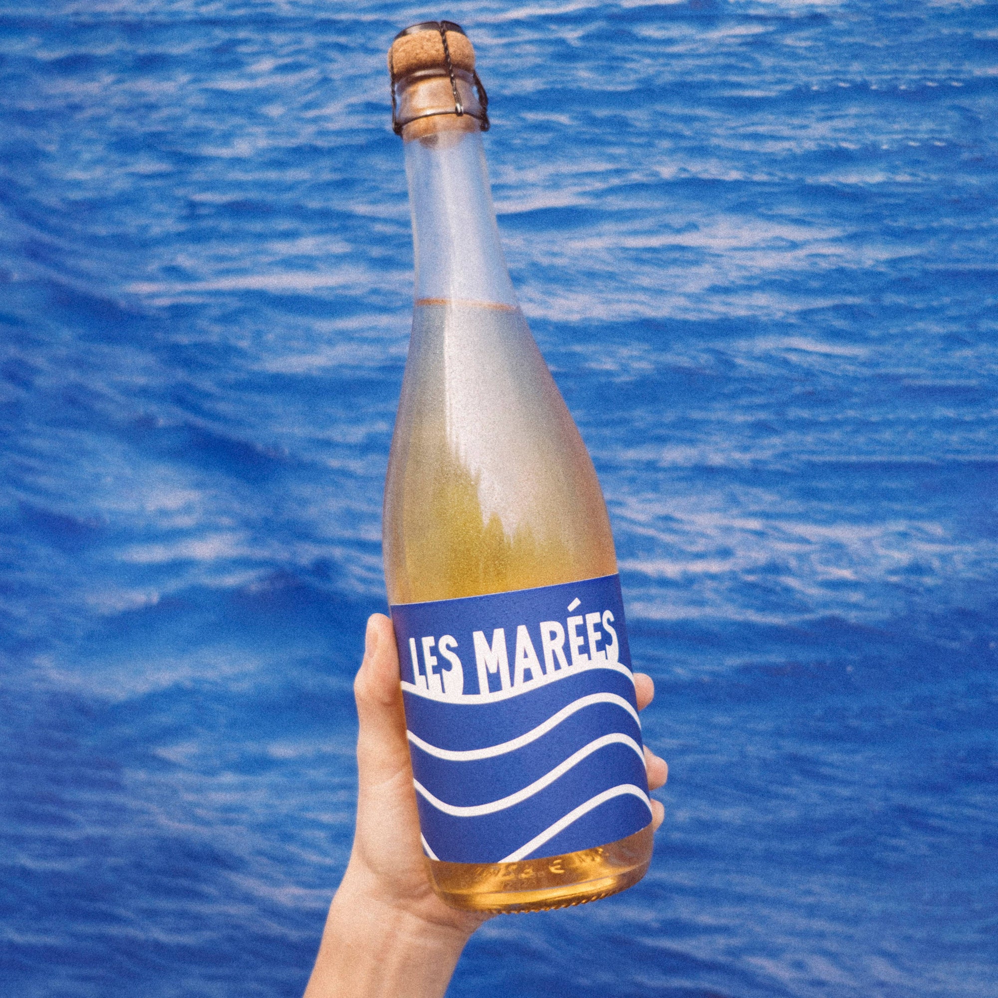 Woody's - Les Marées Non-Alcoholic Sparkling Blanc de Blanc (750ml)