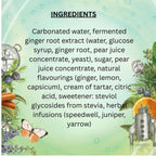 Fentimans Ginger Beer - 4 pack