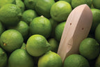 Juice Bruce Citrus Reamer - Squeezer