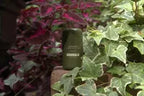 SIDEBALM Outside Balm - for those outdoor events!